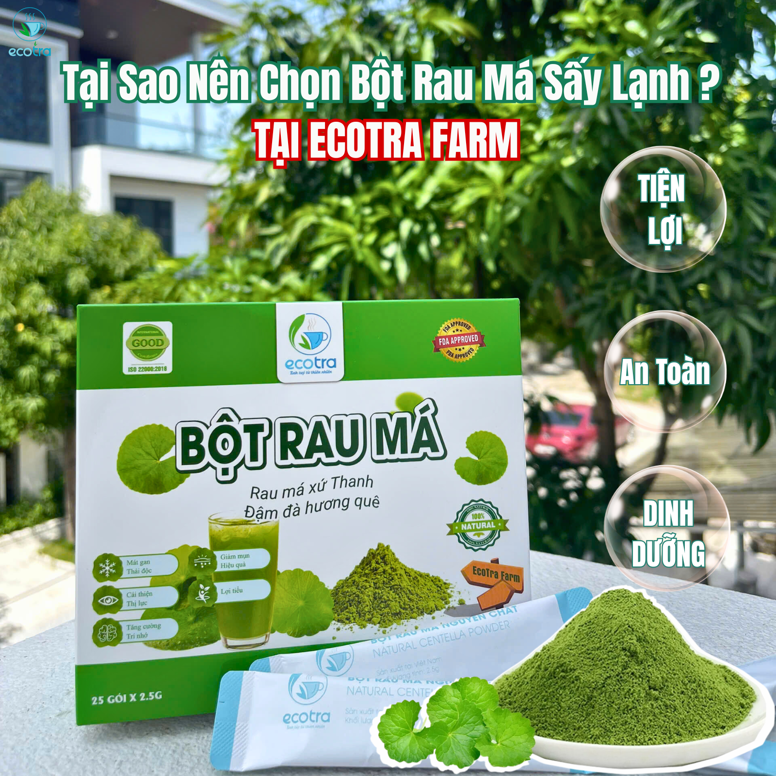 Tại Sao Nên Chọn Bột Rau Má Sấy Lạnh Ecotra Farm Thay Vì Rau Má Tươi?