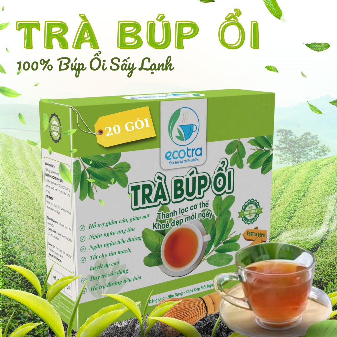 Trà Búp Ổi